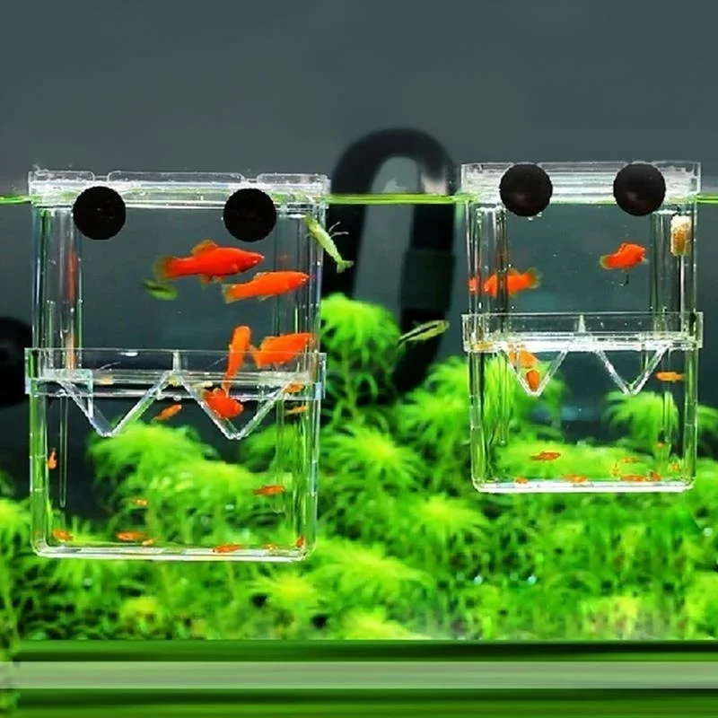 Multifunctional Fish Aquarium  - Lab Incubator recension och pris