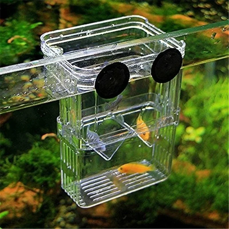 Multifunctional Fish Aquarium  - Lab Incubator recension och pris